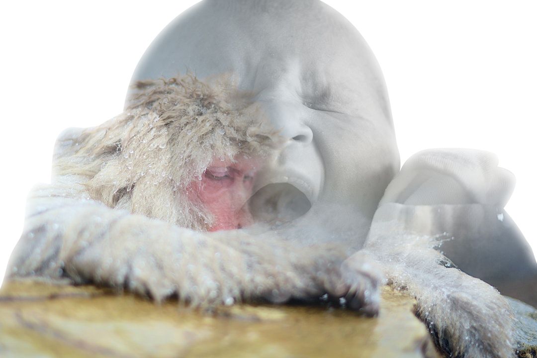 Still-Born Birth
