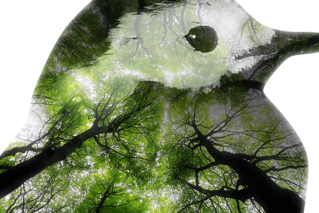 'Should' implies Ethics and "ought" to rotate AROUND the passions.