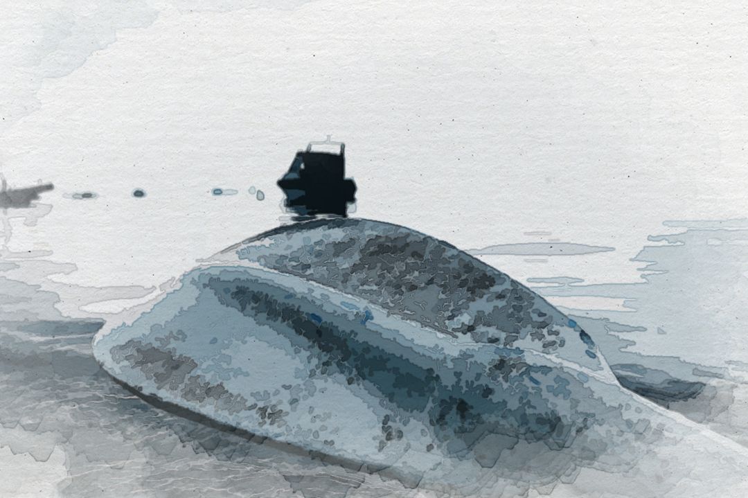 white boat paddle