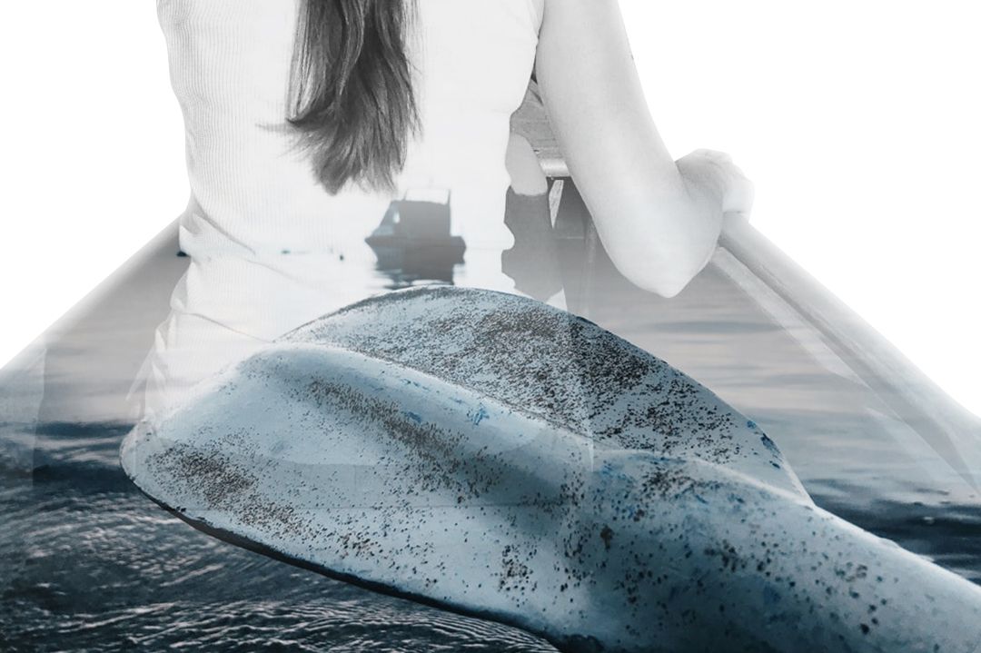 white boat paddle