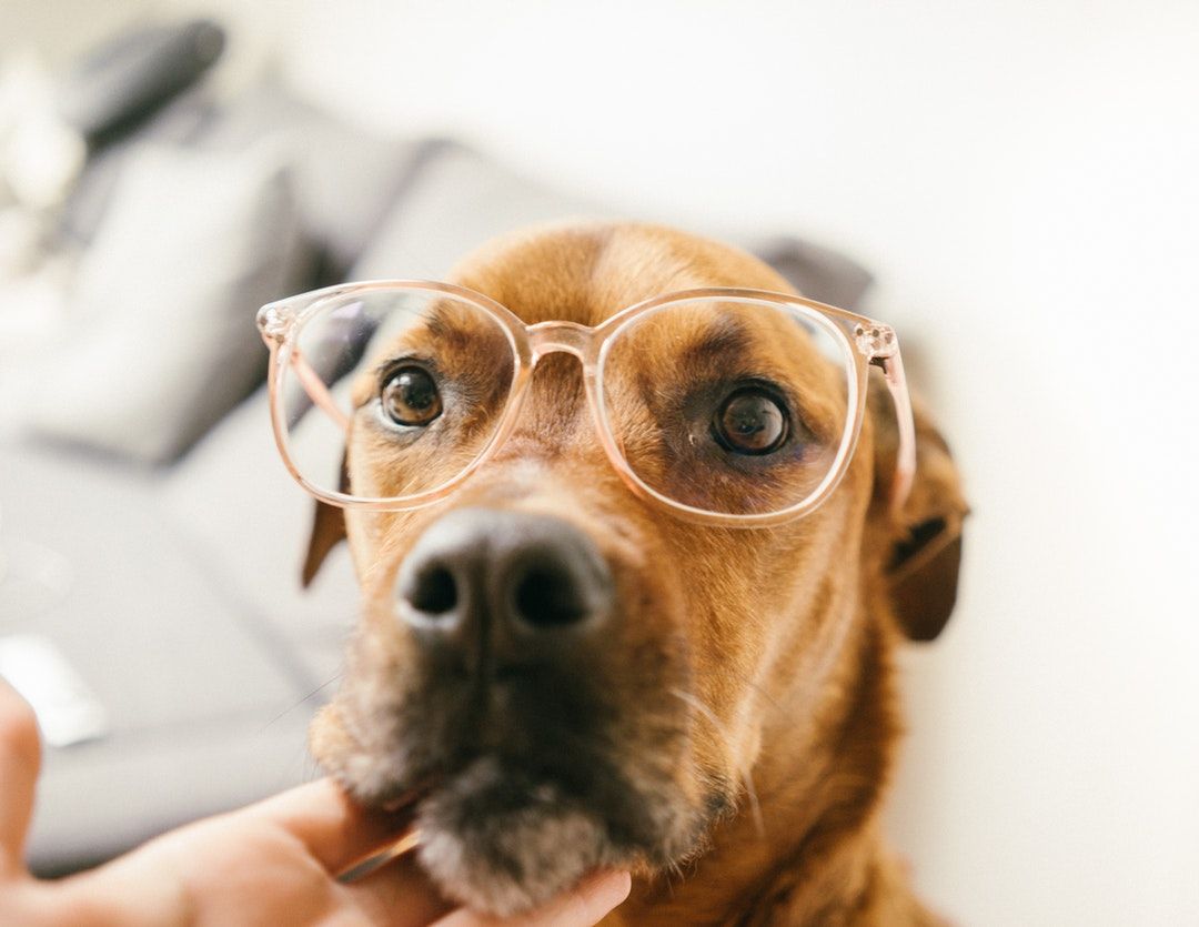 Put Away Your Spectacles