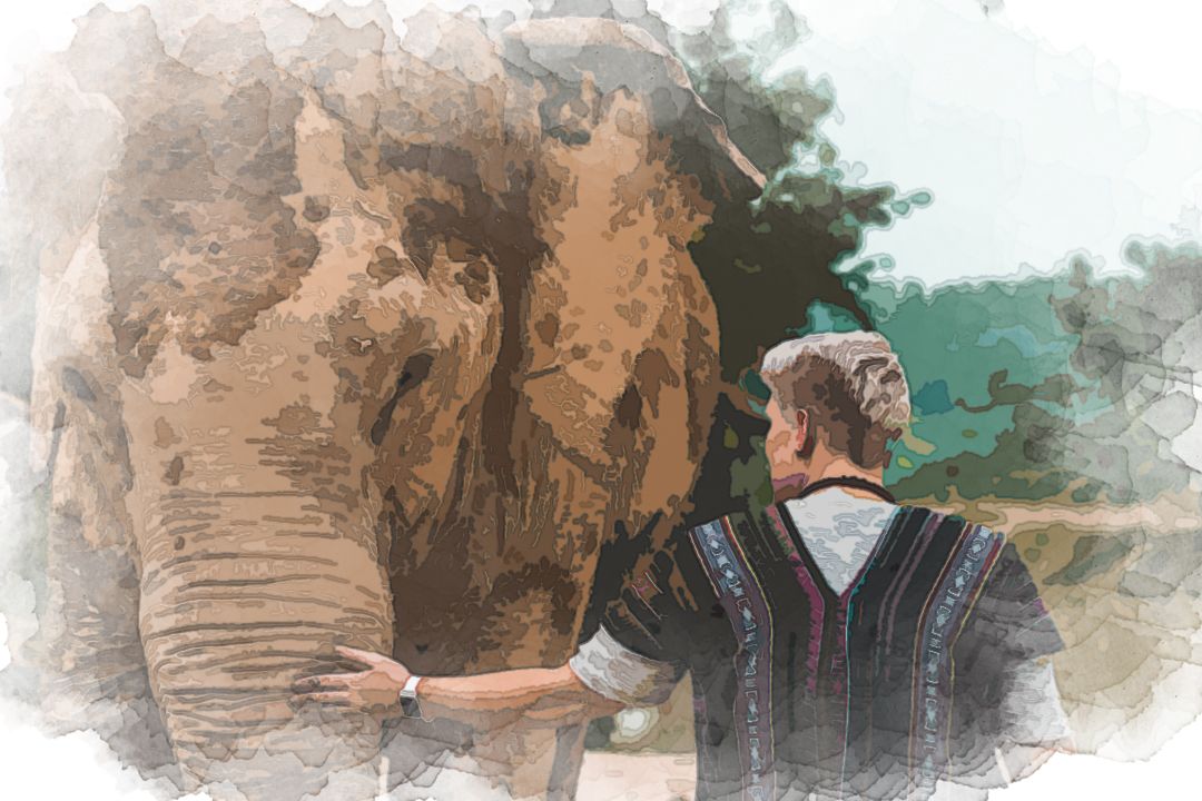 A capture from my amazing day spent at the Elephant Jungle Sanctuary Pattaya Thailand. We fed them, gave them mud baths, and played with these amazing creatures all while maintaining their utmost health and safety.