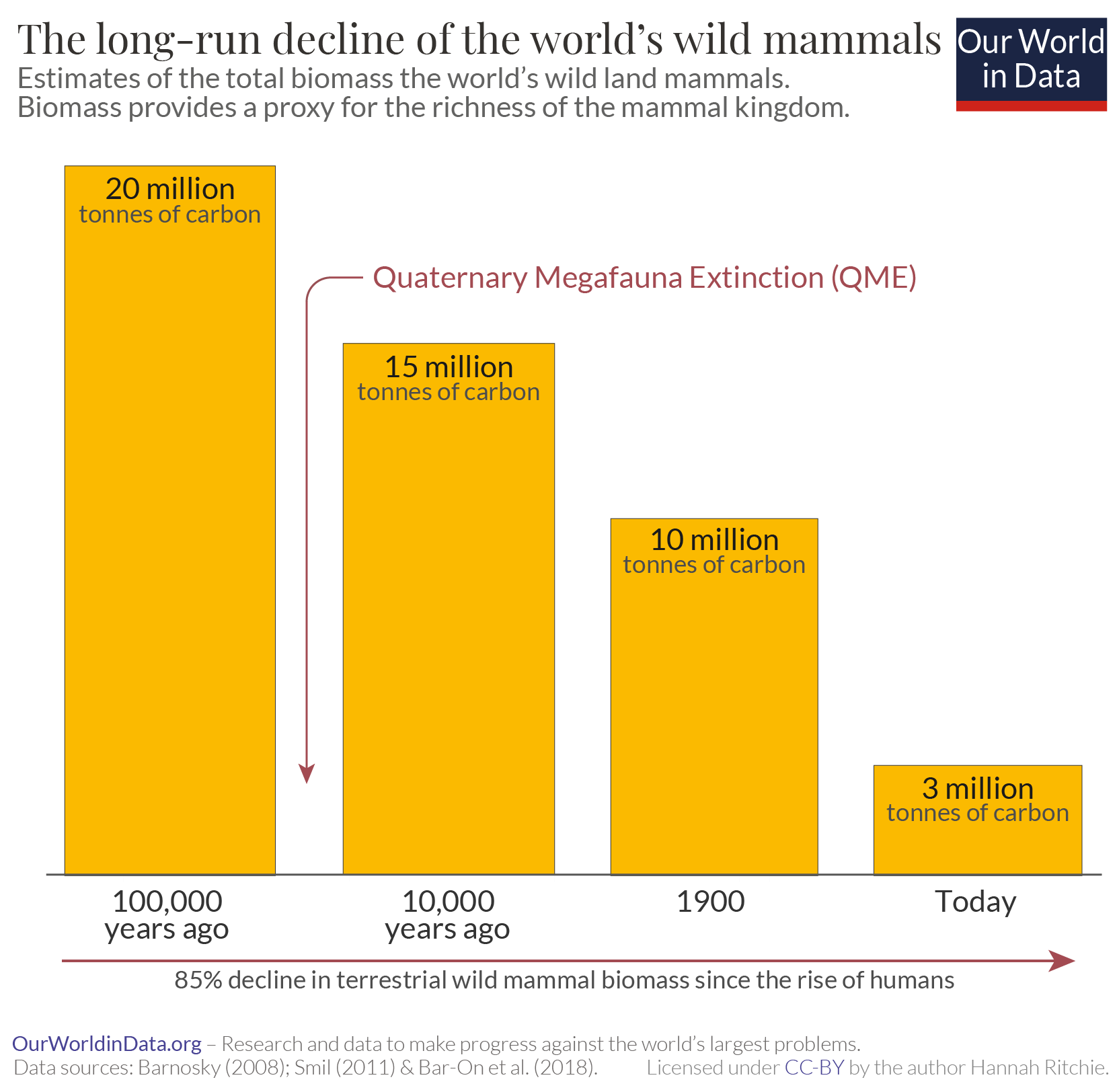 Mammals