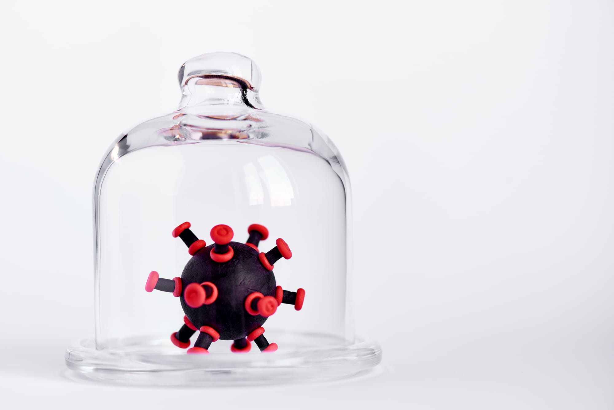 The Politicized Pandemic