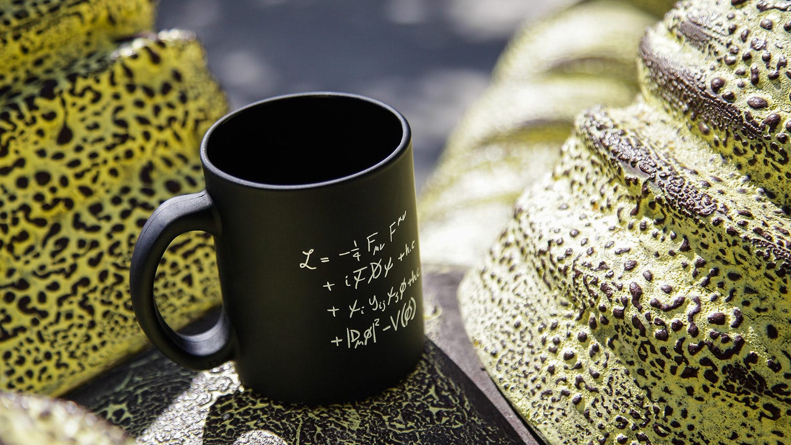 What the Hell is... the Standard Model?