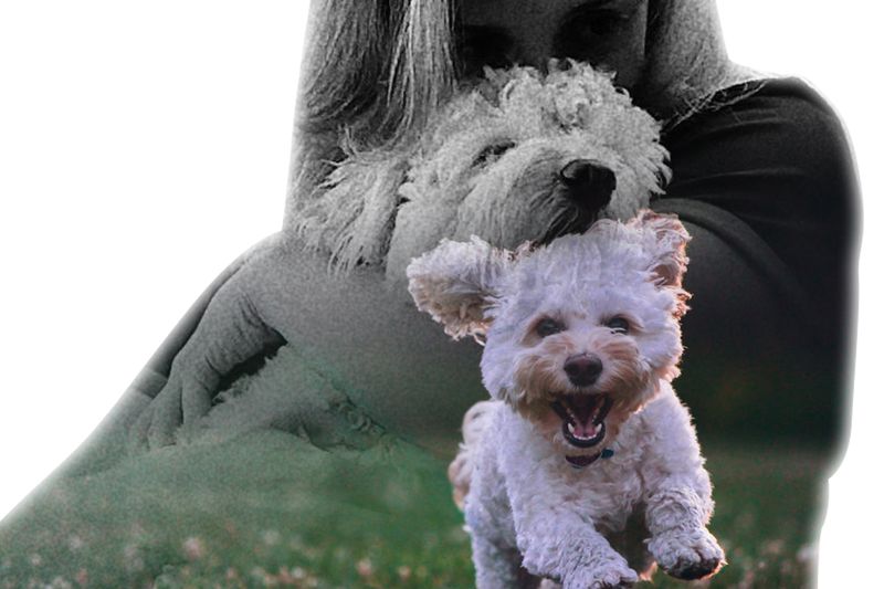 Puppy Love