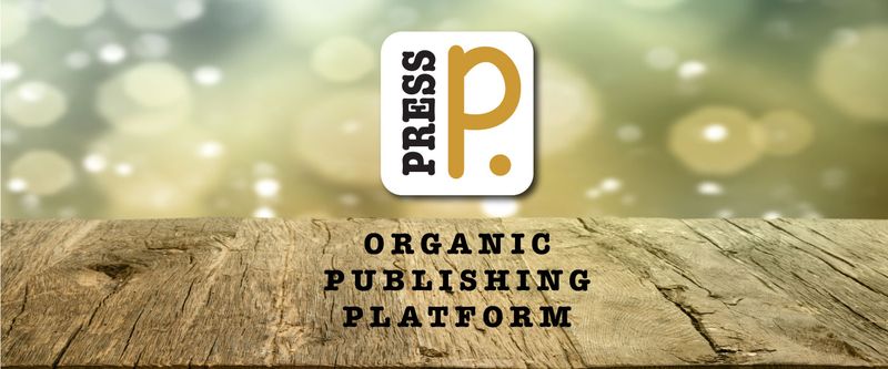 The planksip Book Review Framework Example