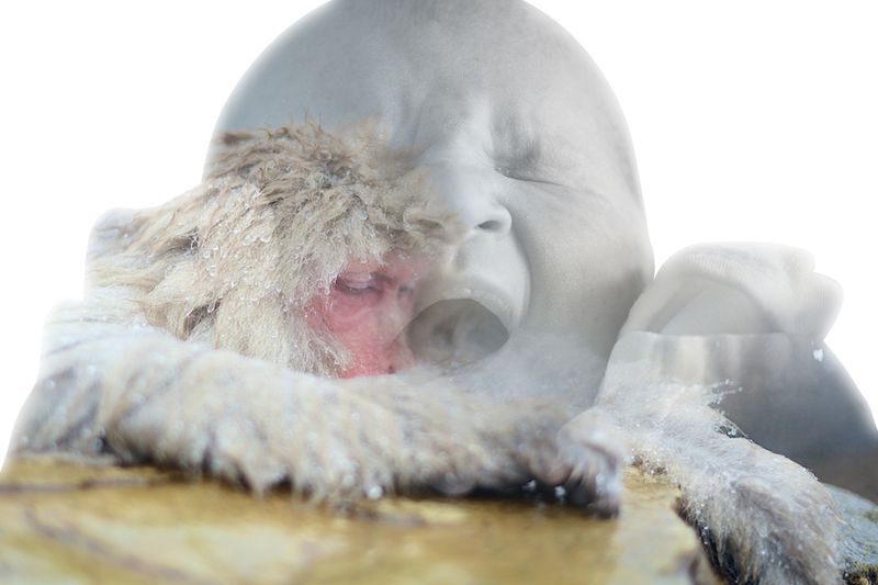 Still-Born Birth
