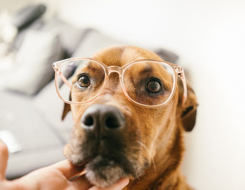 Put Away Your Spectacles