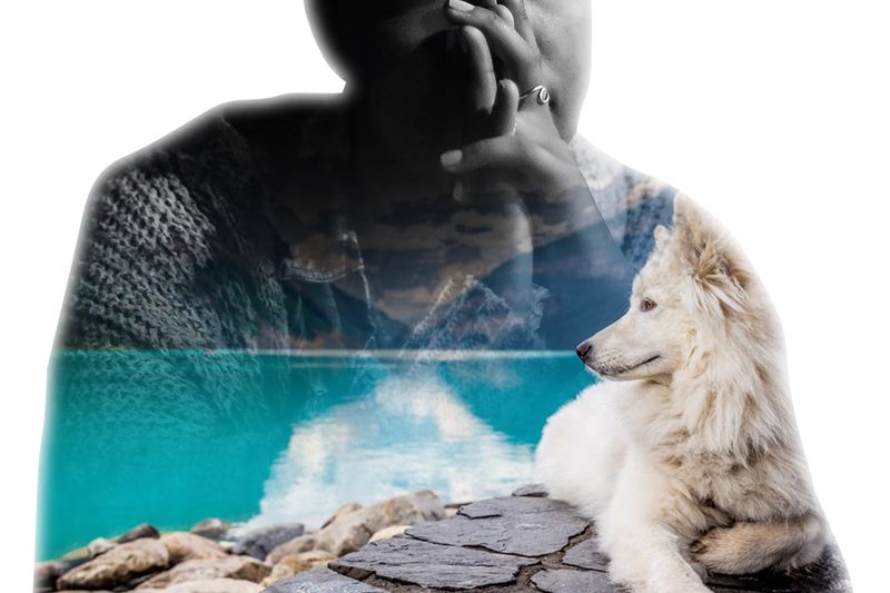 The doG Allusion
