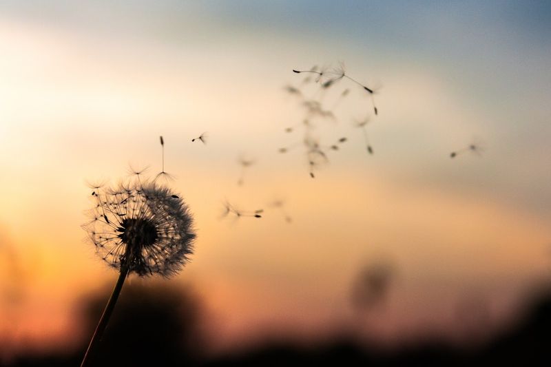Purpose is a Powerful Driver