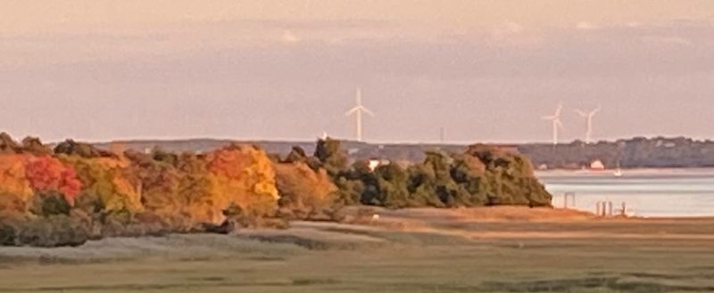 Windmills in the Futurescape