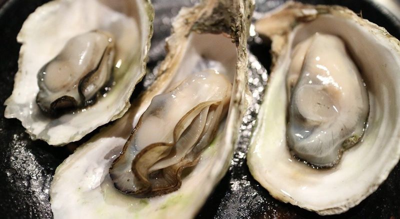 Pearls of Wisdom – from the Oyster