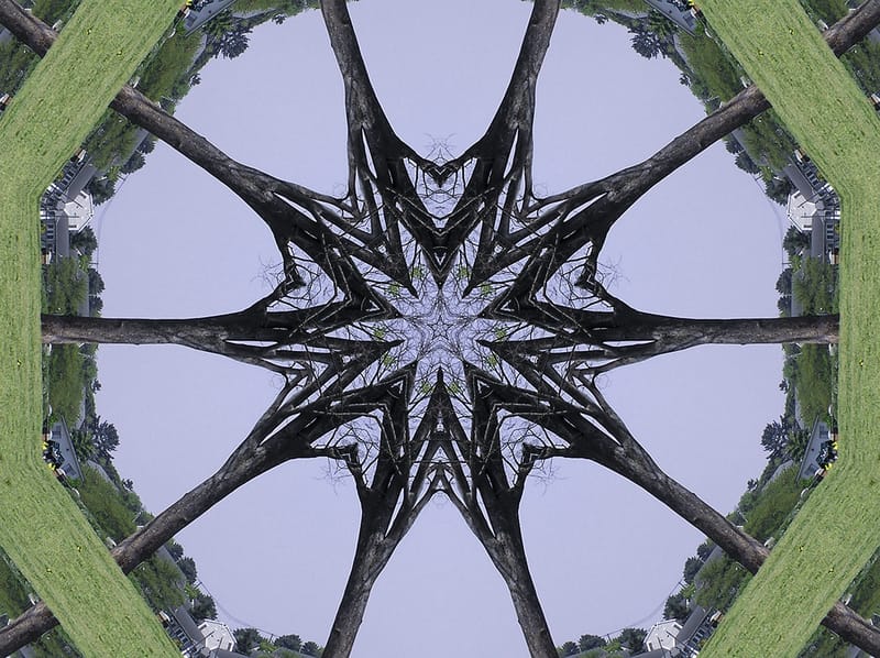 Trees are Family: DNA, Ancestors and Whakapapa