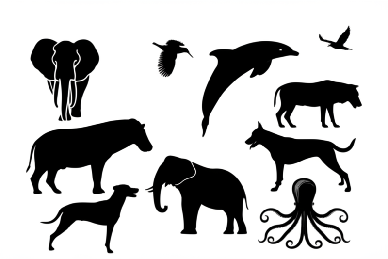 The Hypothesis of Animal Consciousness and Hypothesis